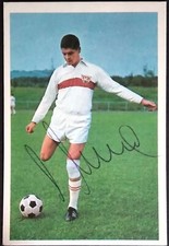 Gerd Menne  VfB Stuttgart