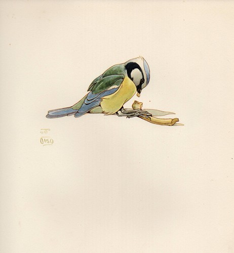 1937 stampa uccelli - di, ~