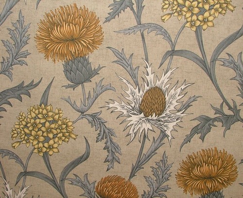 Scozzese cardo ocra cotone - cardo,