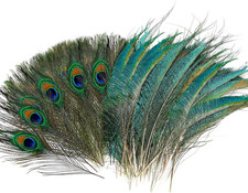 Piume Di Pavone Naturale 40