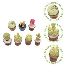  7 Pcs Piante Grasse Piccole