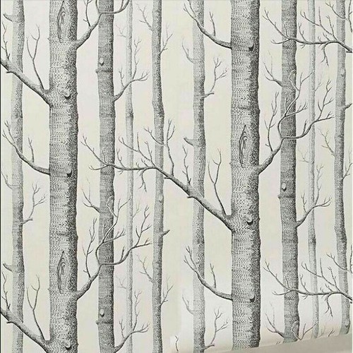10m albero carta parati per - 10m,