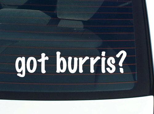 Hai burris adesivo - hai,