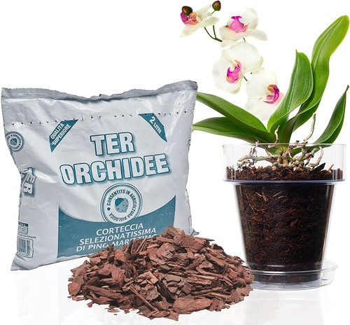 Kit rinvaso orchidee - rinvaso,