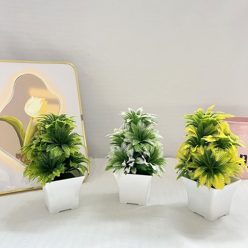 Pianta foglia cocco in - pianta,