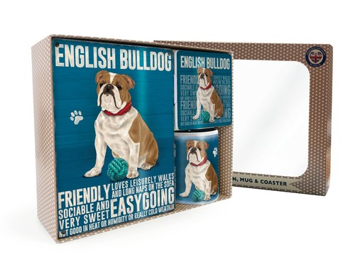 Bulldog inglese scatola - inglese, regalo
