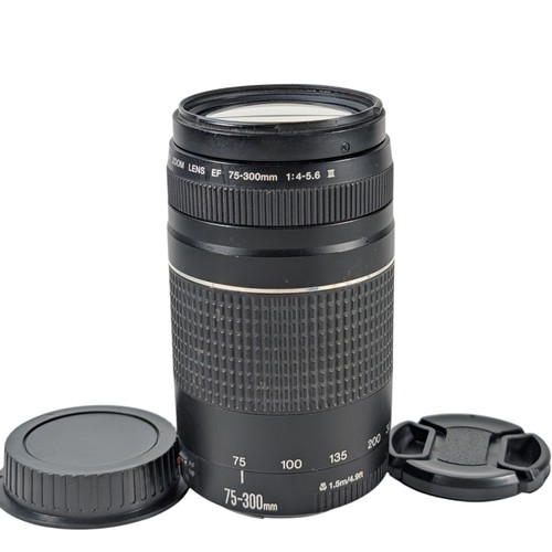 Canon 300mm 5 6 iii - canon,
