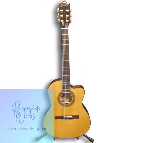 Chitarra elettroacustica