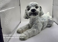 Goebel; cucciolo Cocker