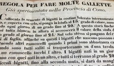 BACHI DA SETA-GALLETTE-BIGATTI-COMO-ANTICO MANIFESTO-TIPOGRAFIA TAMBURINI-'800