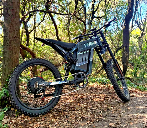 Bicicletta elettrica