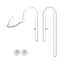 Pianta Acquario Vetro Giglio