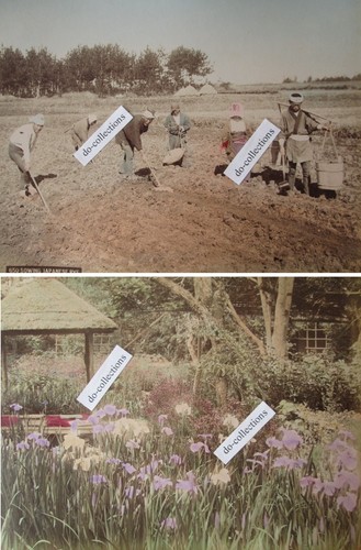 Giappone grandi foto - grandi,