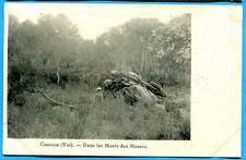 CPA : Cogolin - Dans les Monts