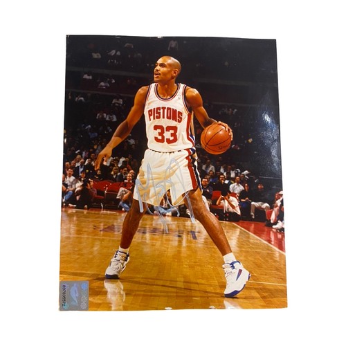 Nba grant hill - hill, #33