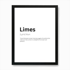Limes Definition Meaning 1 Art