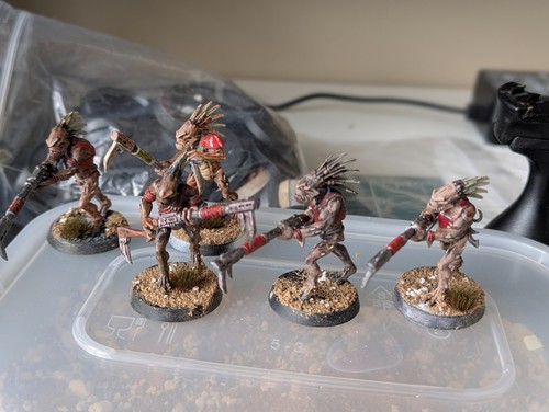 Kroot carnivores dipinto - x5,