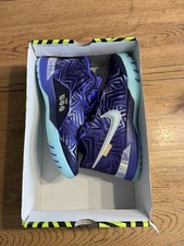 nike lebron james nxxt genisus