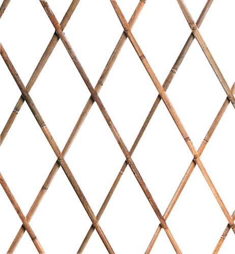Traliccio bambu bamboo - in, bambu'