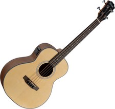 Shaman Mini Basso acustico 4