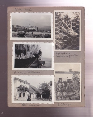 Foto anni cacciatore - foto,