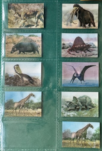 Kellog prehistoric - kellog’s,