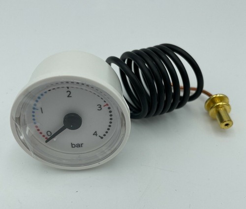 Ariston microgenus mffi - 23, 27