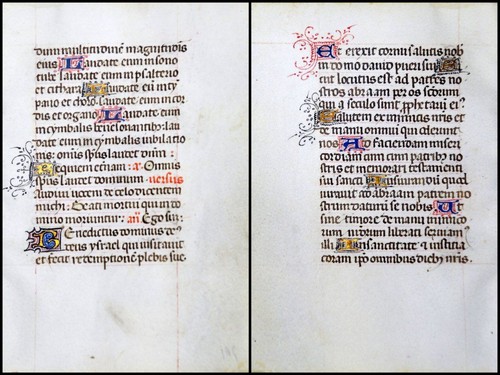 Grafia pergamena foglia - foglia, di