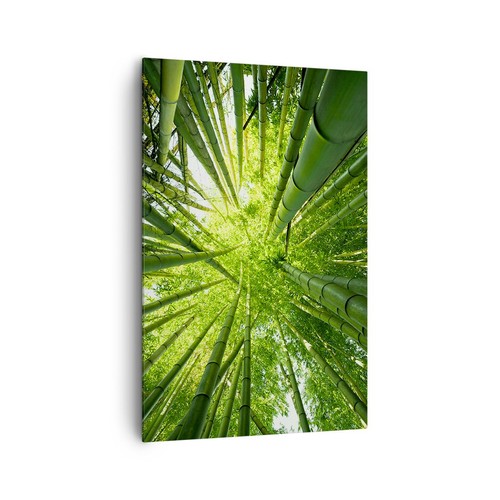 Quadro tela 80x120cm bambù - quadro,