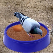 Incubatrice per cova uccelli 3