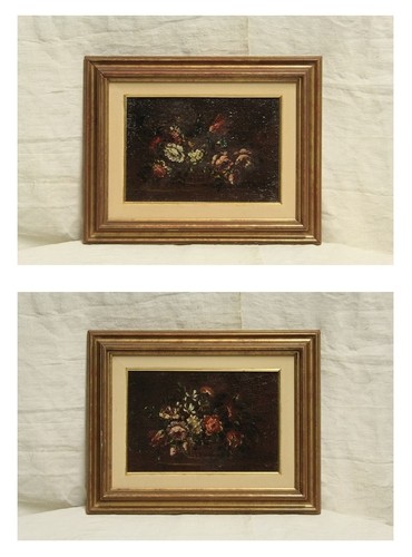 Coppia nature morte - nature,