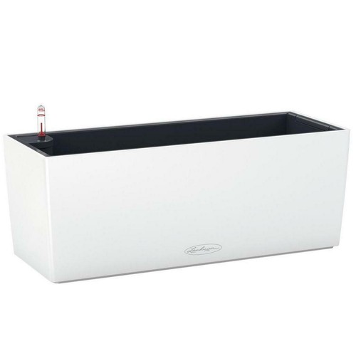 Finestra box lechuza - finestra,