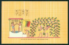 Artista Firmato Egitto Pressatura Vino Vendemmia cartonelina XP9640