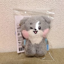ZB1 zeroni peluche gunini