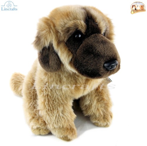 Fedeli amici leonberger - amici,