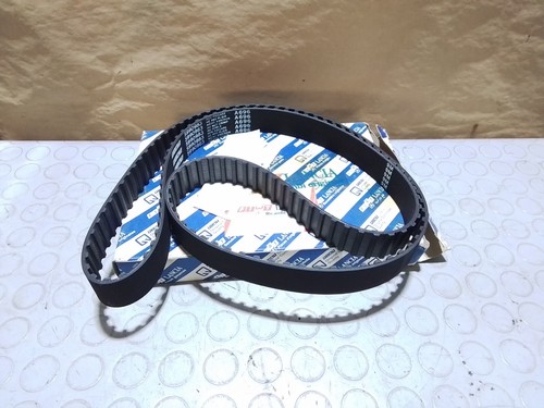 Cinghia distribuzione