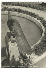 Chianciano Terme (SI)