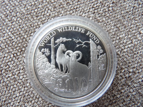 Moneta cipro sterlina 1986 - sterlina,