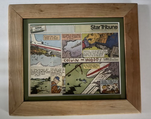 Calvin and hobbes fumetto - calvin,