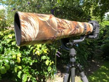 Nikon 600mm f4 Ed G VR