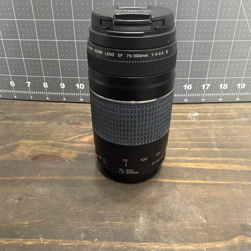 Canon 300mm 5 6 - ef, 75-300mm