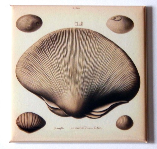 Magnete frigo clam stile - magnete,