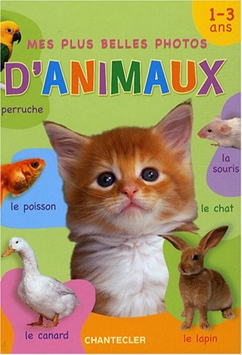 Mes plus belles - , photos