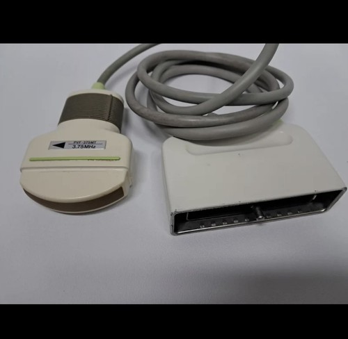 Sonda ecografo toshiba - sonda,