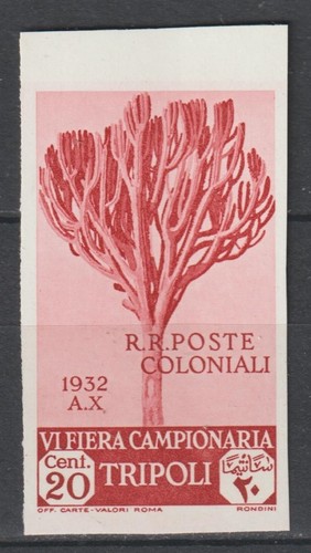 Italia colonie 1932 libia - colonie, 6°