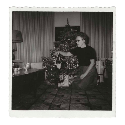 Foto istantanea vintage albero