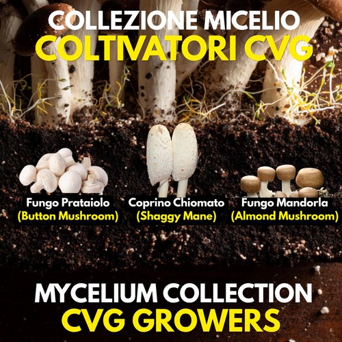 Kit colture liquide cvg - kit,