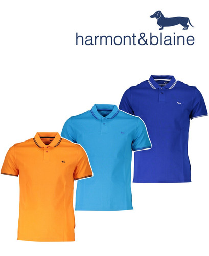 Polo harmont blaine - polo,