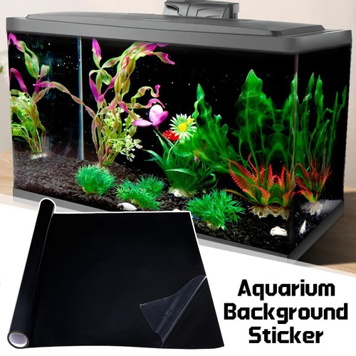 Fish tank background static - fish,