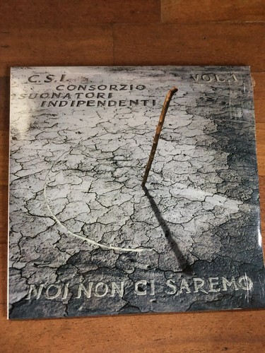 Noi non ci saremo - "noi,